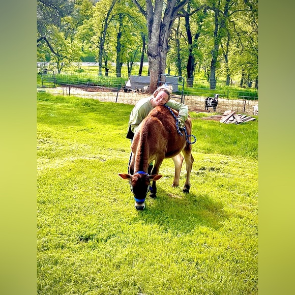 Meet your Posher, AL - Picture 7 of 16